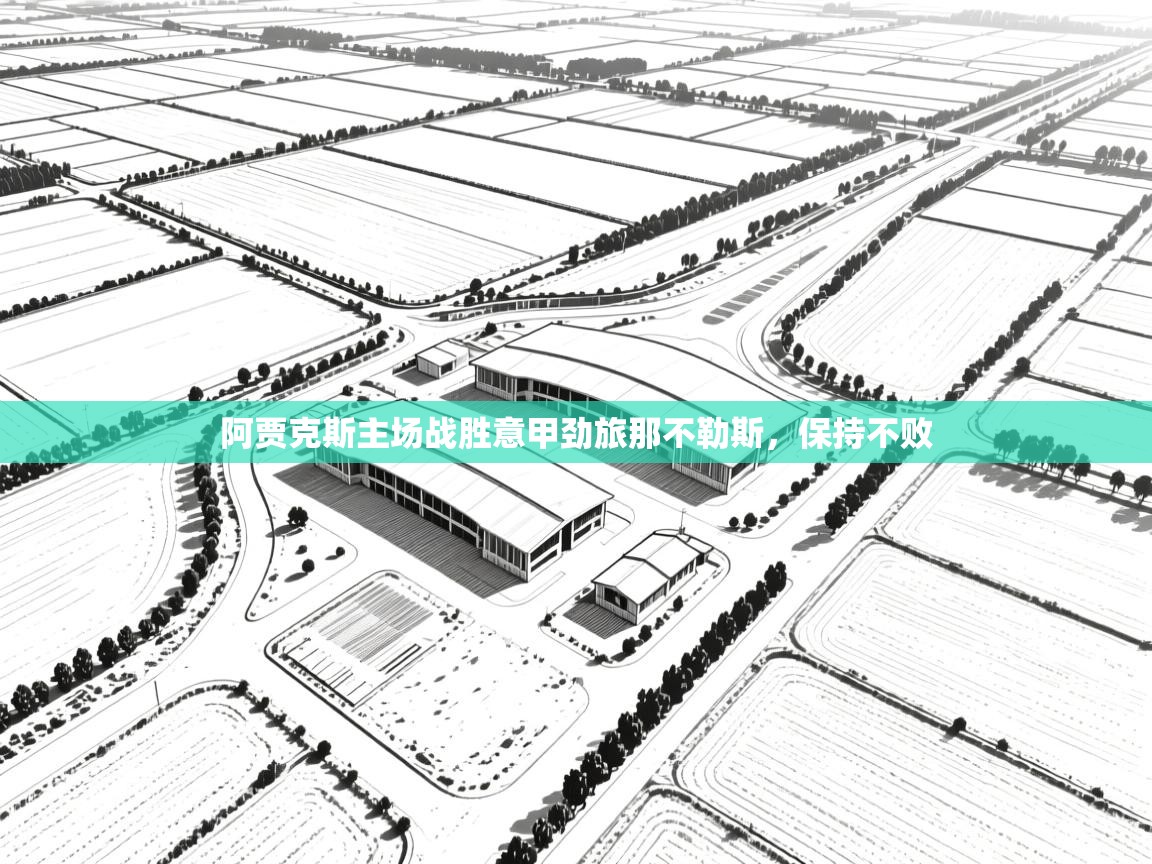 阿贾克斯主场战胜意甲劲旅那不勒斯，保持不败  第2张